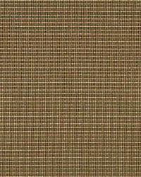 18305 33  by  Kravet 