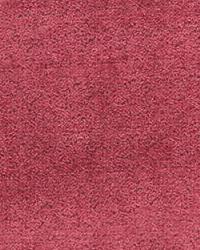 25252 9 Rhubarb by  Kravet 