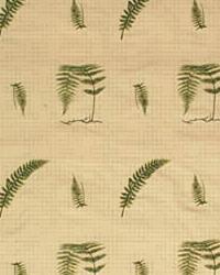 Soft Fern 25432 3 Ivy by  Kravet 