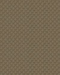 25807 106  25807 106  by