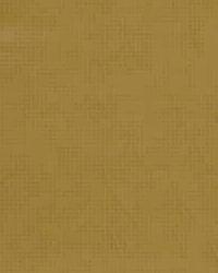 Velvet Smoothie 26414 4 Butter by  Kravet 