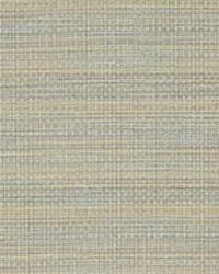 27321 316 Opal by  Kravet 
