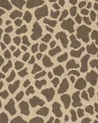 Daktari 27500 616 Leopard by  Kravet 