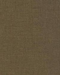 Shonfeld 28348 6 Earth by  Kravet 