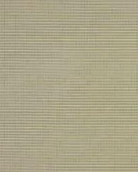 Thai Silk 28670 23 Cactus by  Kravet 