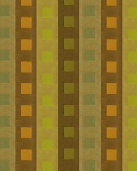 Relates 28904 3 Olive by  Kravet 