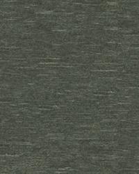 29758 1511  by  Kravet 