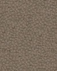 Behold 29838 106 Shale by  Maxwell Fabrics 