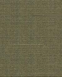 Whos Who 30154 6  by  Kravet 