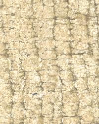 After Party 30192 16 Champagne by  Kravet 