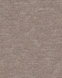 Seta 30328 106 Mushroom by   