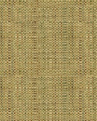 30667 130  by  Kravet 