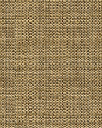 30667 516  by  Kravet 