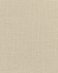 KRAVET BASICS 30808 106 by  Kravet 