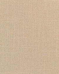 KRAVET BASICS 30808 1116 by  Kravet 