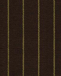 Lodi 30814 6 Carob by   