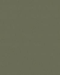 31126 630  by  Kravet 