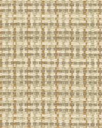 Checked Out 31531 16  by  Pindler and Pindler 