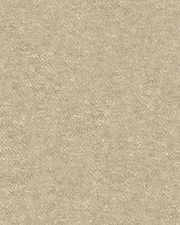 31776 1111  by  Kravet 