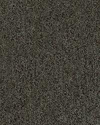 31779 811  by  Kravet 