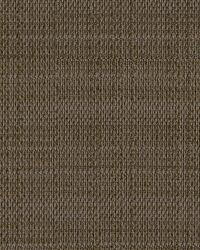 Libbey 31864 106 Bison by  Kravet 