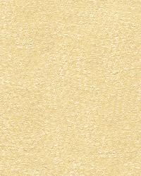 Baci 31871 16 Pearl by   