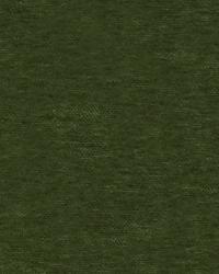 32015 53  by  Kravet 