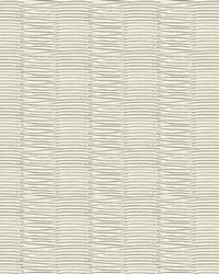 Metallic Pleat 32119 1 Platinum by  Kravet 