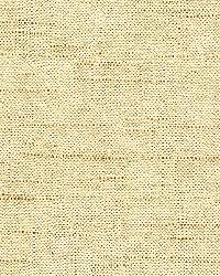 Glenoaks 32301 4 Champagne by   