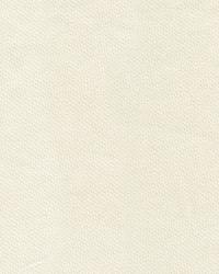 Sarasota 32339 111 Off White by   