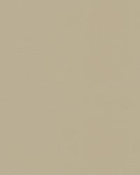 Sarasota 32339 1121 Cloud by   