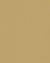 Sarasota 32339 1416 Toast by   