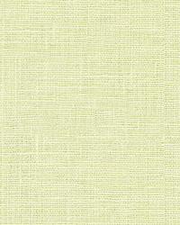 Dublin 32344 511 Rain by   