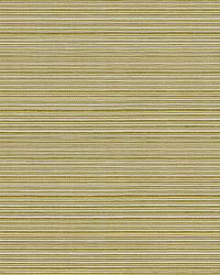 Campania 32497 3 Kiwi by  Kravet 