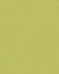 Flirt 32606 130 Prairie by   