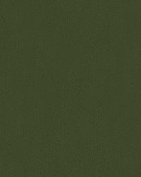 Broadmoor 32642 21 Graphite by   