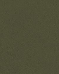 Broadmoor 32642 2121 Pewter by   