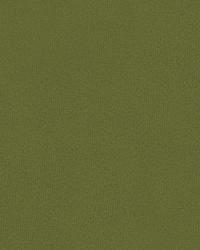 Broadmoor 32642 303 Loden by   