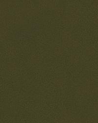 Broadmoor 32642 666 Truffle by   