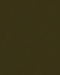 Broadmoor 32642 6666 Mink by   