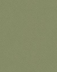 Carmine 32862 2111 Thunder by   