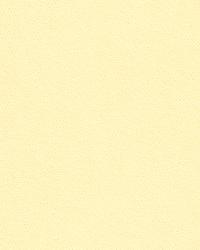 Delta 32864 1 Coconut by   