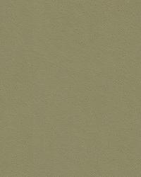 Delta 32864 11 Haze by   