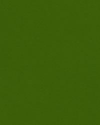 Delta 32864 53 Fennel by   