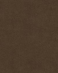 Delta 32864 6 Truffle by   