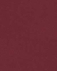 Delta 32864 9 Beet by   