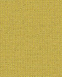 Wink 32920 3 Lemongrass by  Kravet 