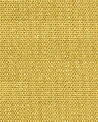 Wink 32920 40 Sunflower by  Kravet 