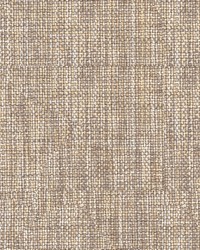 32959 16  by  Kravet 