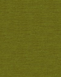 32962 23  by  Kravet 